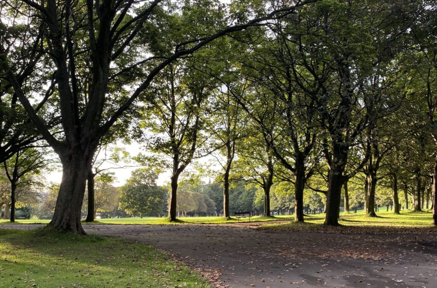  Lighting could be installed in Woodhouse Moor to make it ‘more welcoming for women’