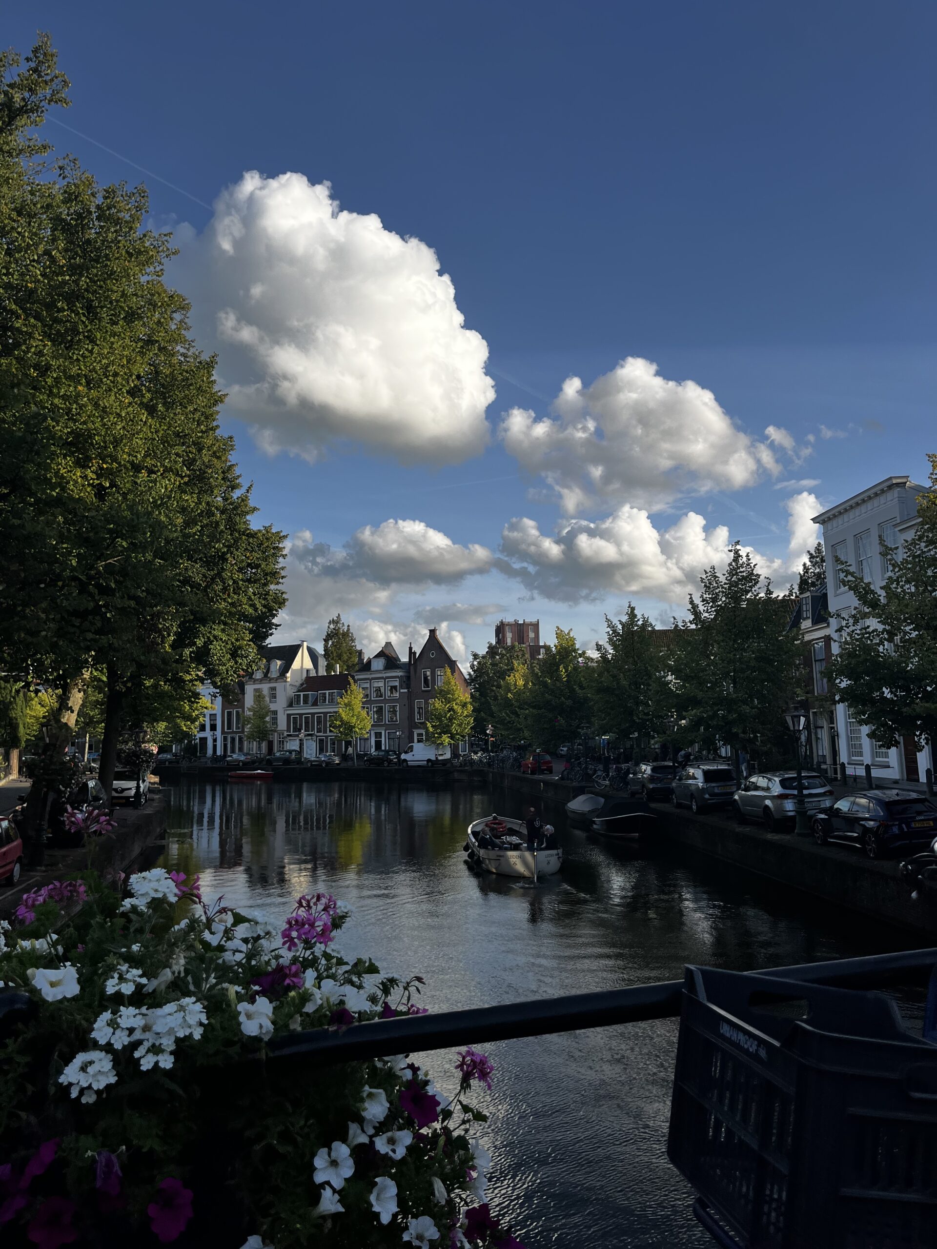 Leiden river