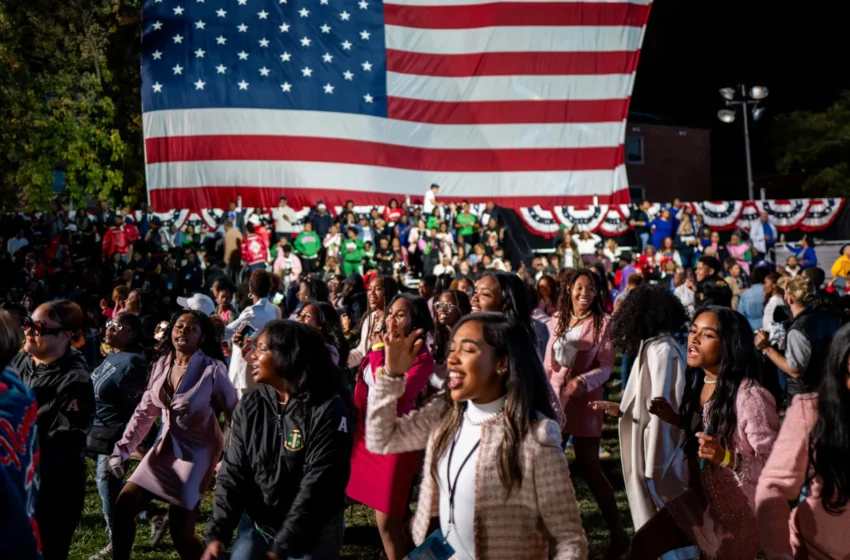  “If His Ballot Was Red, Let His Balls Stay Blue”: American Women’s Response to 2024 Election Results