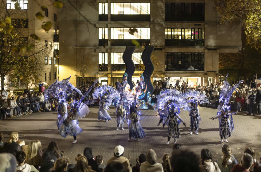  Dazzling Displays: Leeds Light Night 2024